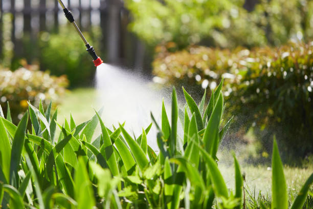 24/7 Emergency Termite Control experts in Los Alamos, NM