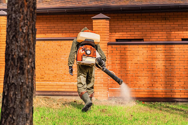 Trusted Mosquito Control service in Los Alamos, NM - Nex Pest Control